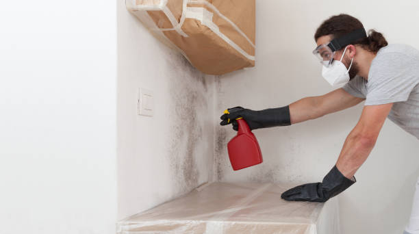 Professional Bathroom Mold Removal technician working in Pine Brook, NJ